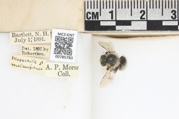 Media type: image;   Entomology 785783 Aspect: labels